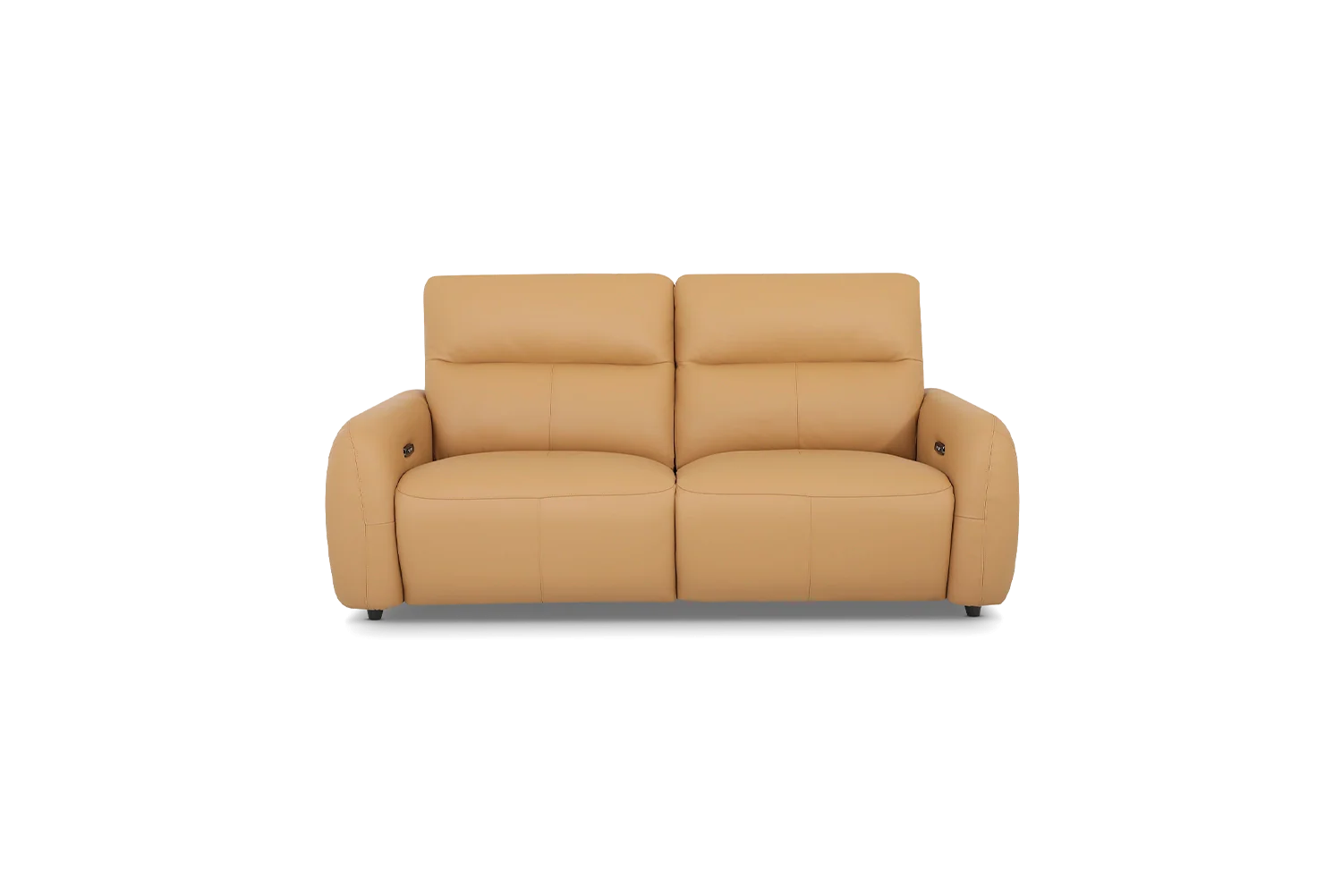 Elyse 2.5-Seater - Leather