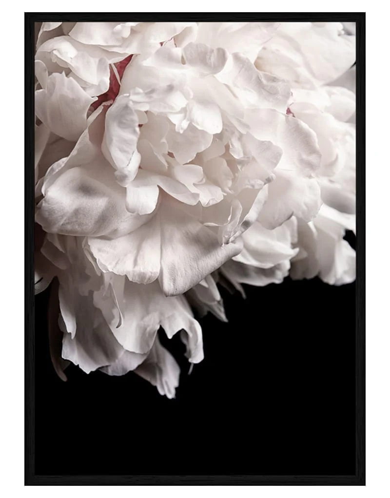 Mystic Bloom