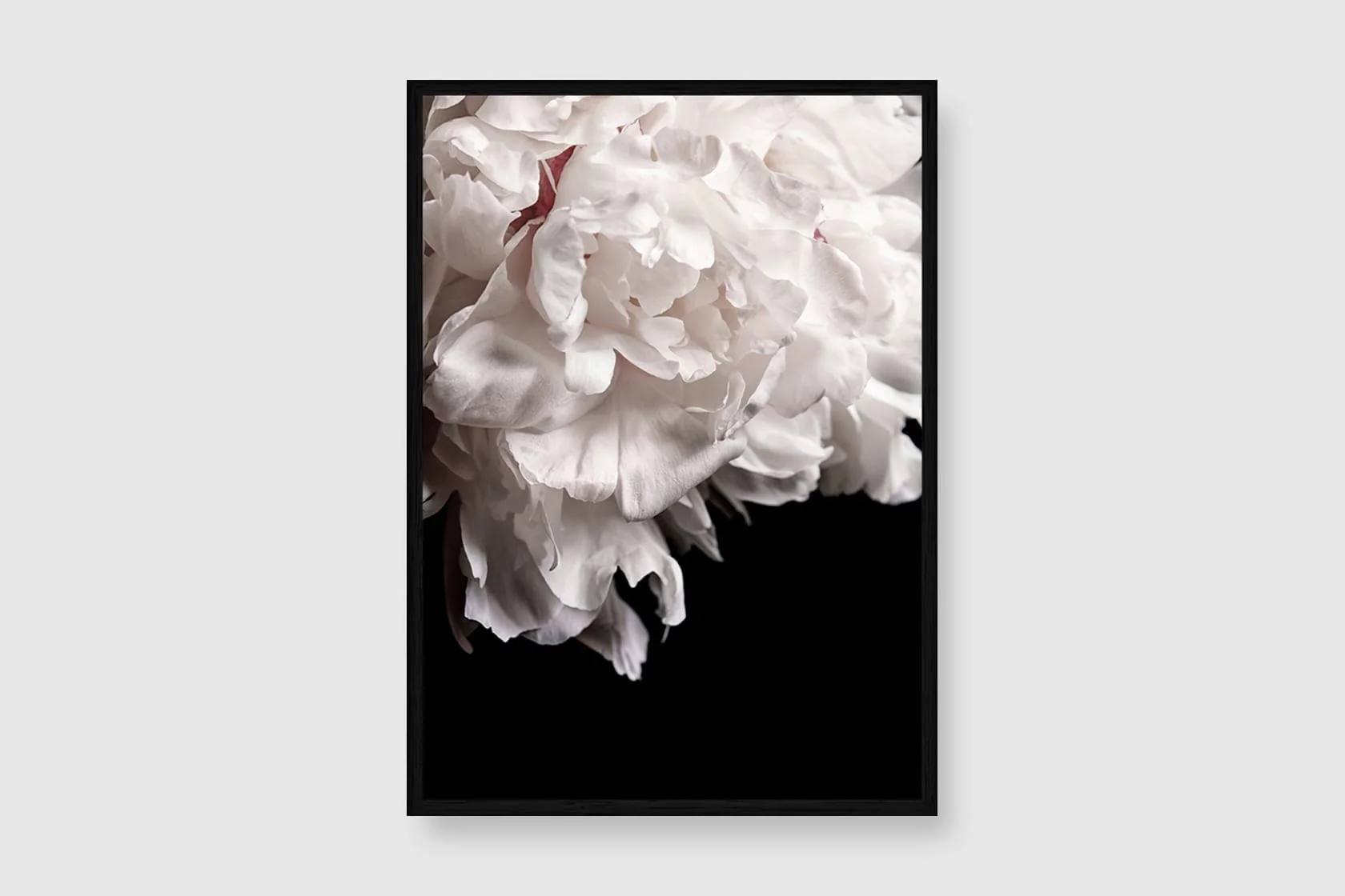 Mystic Bloom - Image 2