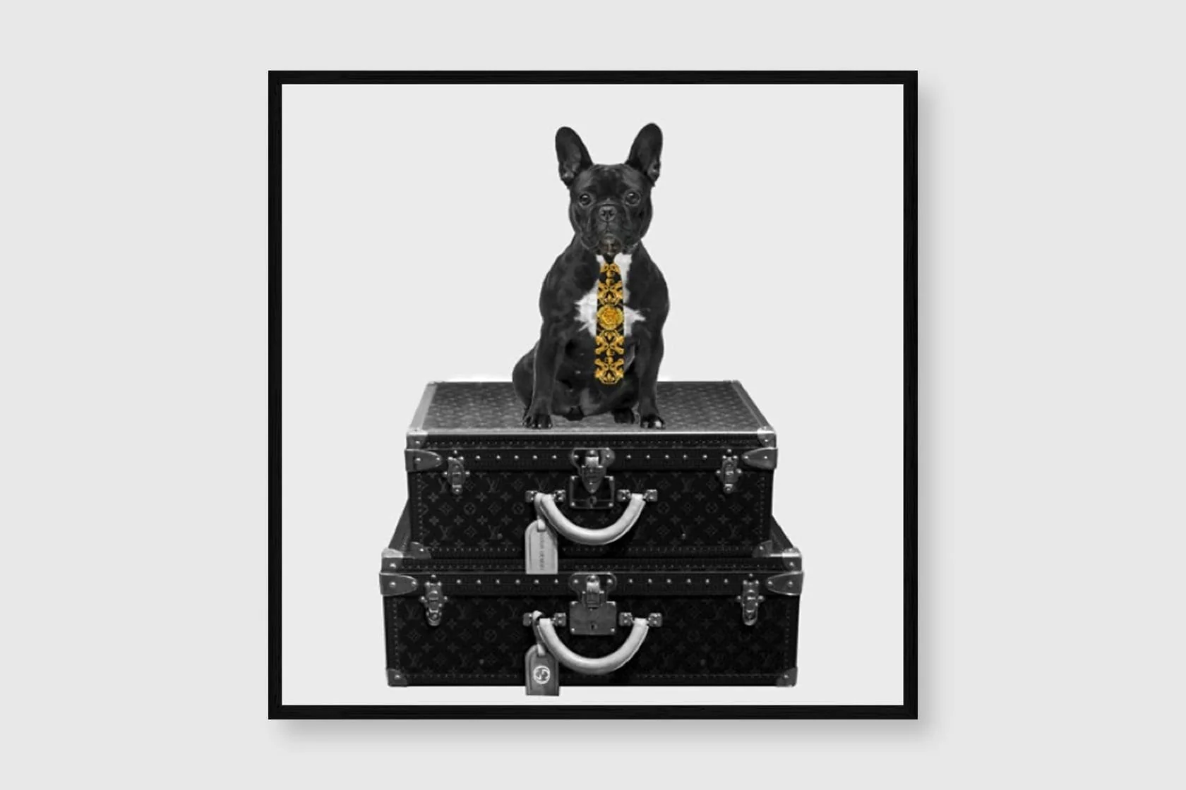 Trends Bulldog - Image 2